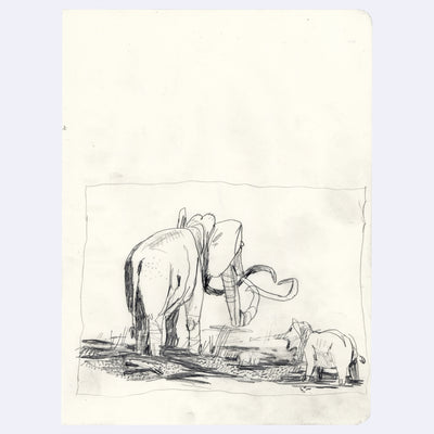 Stylistically messy graphite drawing of a large elephant and a small baby elephant, standing in a swamp.