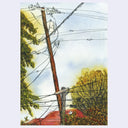 A watercolor-style illustration of an outdoor scene featuring a leaning wooden utility pole with tangled power lines, trees, a red roof, and a pale sky.