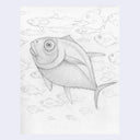 Graphite sketch of a large tuna fish, with simplistic fish in the background.