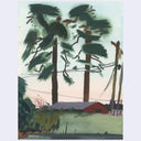 A watercolor landscape painting depicting tall palm trees with dark green and brown trunks, a red-roofed house in the background, and a pale sky. The artwork is presented on a light gray background.