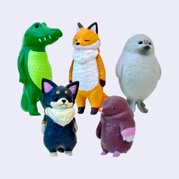 5 animal figurines, all standing on 2 legs and looking with blank expressions. Animals are: crocodile, fox, seal, fluffy Chihuahua and mole.
