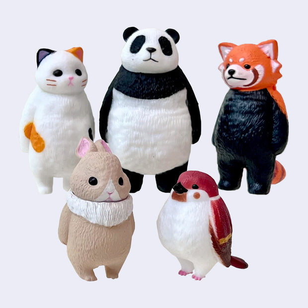 5 different animal figurines, standing on 2 legs and looking off into space. Animals are: cat, panda, red panda, fluffy bunny and bird.