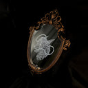 White engraved illustration on a mirror with gold ornate detailing on the exterior. Image is of a wolf with a sheep head atop it with a rope circling around its mouth and behind its head.