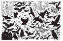 Open 2 page zine booklet spread of scanned and illustrated black and white imagery of cartoon owls.