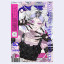 Illustrated character with intricate details and fashion accessories and outfit on a book cover with text.