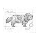 A monochrome pencil-style sketch of a small French St. Bernard dog on textured paper, with handwritten notes including 'Petite Basset Griffon Vendeen' and 'French Scent Hound'