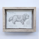 A hand-drawn pencil sketch of a French scent hound on textured paper, featuring a detailed dog illustration and handwritten notes, displayed on a clean white background.