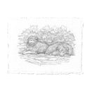 A monochrome pencil-style artwork showing two fluffy dogs resting in front of leafy branches, centered on a white background with a lightly textured border around the drawing.