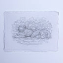 A monochrome pencil-style artwork showing two fluffy dogs resting in front of leafy branches, centered on a white background with a lightly textured border around the drawing.