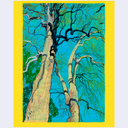 A painting of two large trees with textured trunks and branches, seen from below and rendered in turquoise, cream, black, and green, framed by a wide bright yellow border.