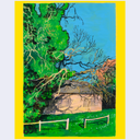 A colorful landscape painting featuring a small beige house, a large green tree, bare branches, a white fence, and a bright blue sky, all framed by a bold yellow border.