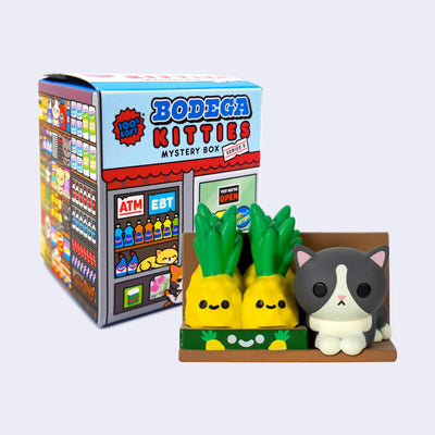 Bodega Kitties (Series 2) Blind Box