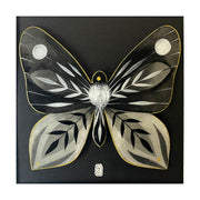Illustration on cut out paper of a grey, black and white butterfly with abstract striped patterns on its wings, akin to leaves. Its body has white fur on it, like a moth. Butterfly is outlined in gold and mounted on black paper.