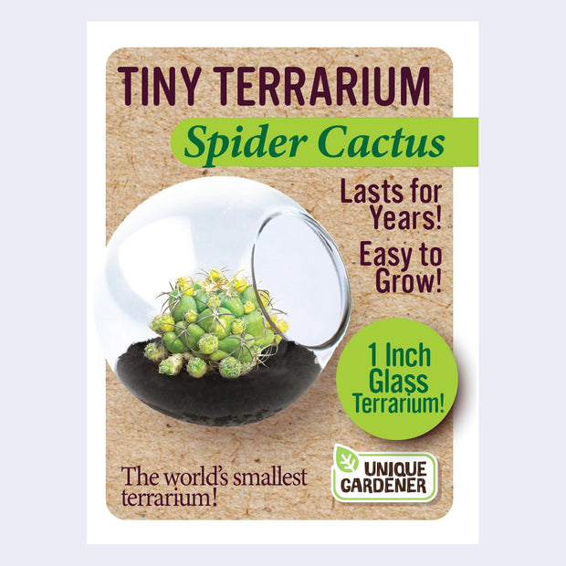 Product packaging for a mini terrarium with seeds for a cactus, the "Spider cactus".