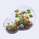 Terrarium with Venus flytraps and a blue crystal on a white background