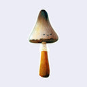 Sticker of an illustrated brown mushroom with a tiny, calm facial expression.