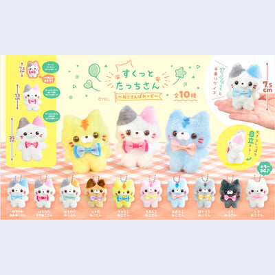 Graphic advertisement for small plush cat keychains, all wearing bowties. Colors of the cats vary, as well as bowtie colors.