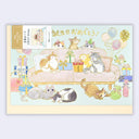 A square greeting card featuring an illustrated scene of multiple cats around a sofa with birthday balloons, gifts, and Japanese text. The card is shown against a light gray background with a cream border visible around the edges.