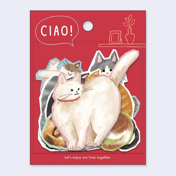 Packaging of cat-themed stickers with a red background and 'CIAO!' text.