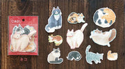Set of cat-themed stickers on a wooden surface with a red packaging labeled 'CIAO!'.