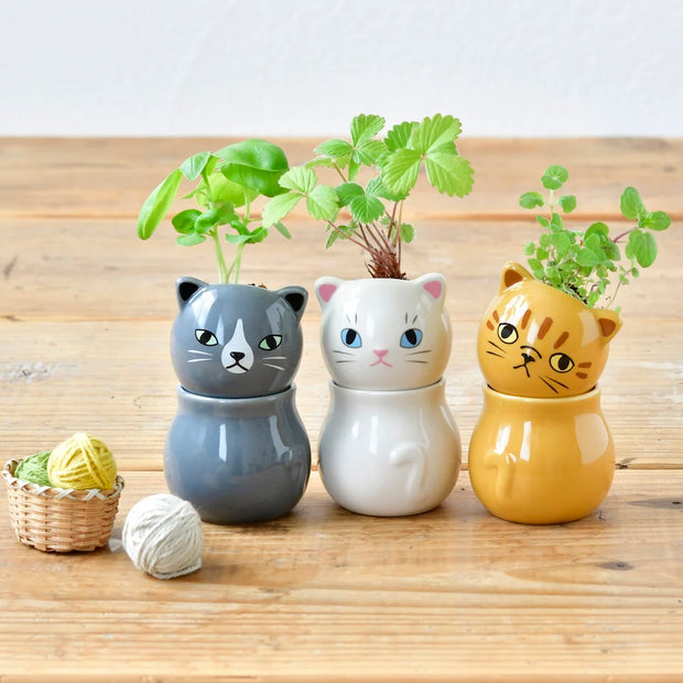 3 cat shaped planter with a separately attached head, each growing its own herb plant.