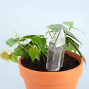 Water From a Crystal, a crystal shaped glass container that you fill with water and place in a potted plant to self water over the course of 3-4 days. Seen inside a plant pot.