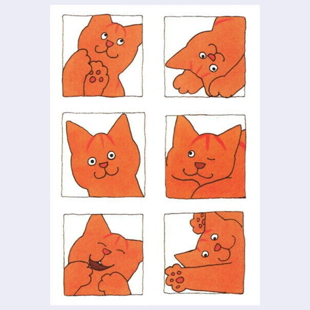 Postcard with 6 illustrations of the same cartoon orange cat with different expressions.