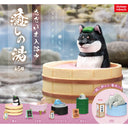 Dog figurine in a hot spring with Japanese text and branding