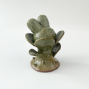Small ceramic sculpture of a plant with leaves and a thorny base. Coming out the top is a bunny's head.