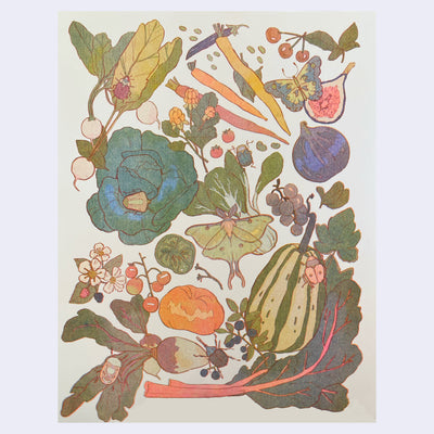 Risograph print of a display of many fruits, vegetables and associated plants and bugs. They consist of a warm but muted color scheme.
