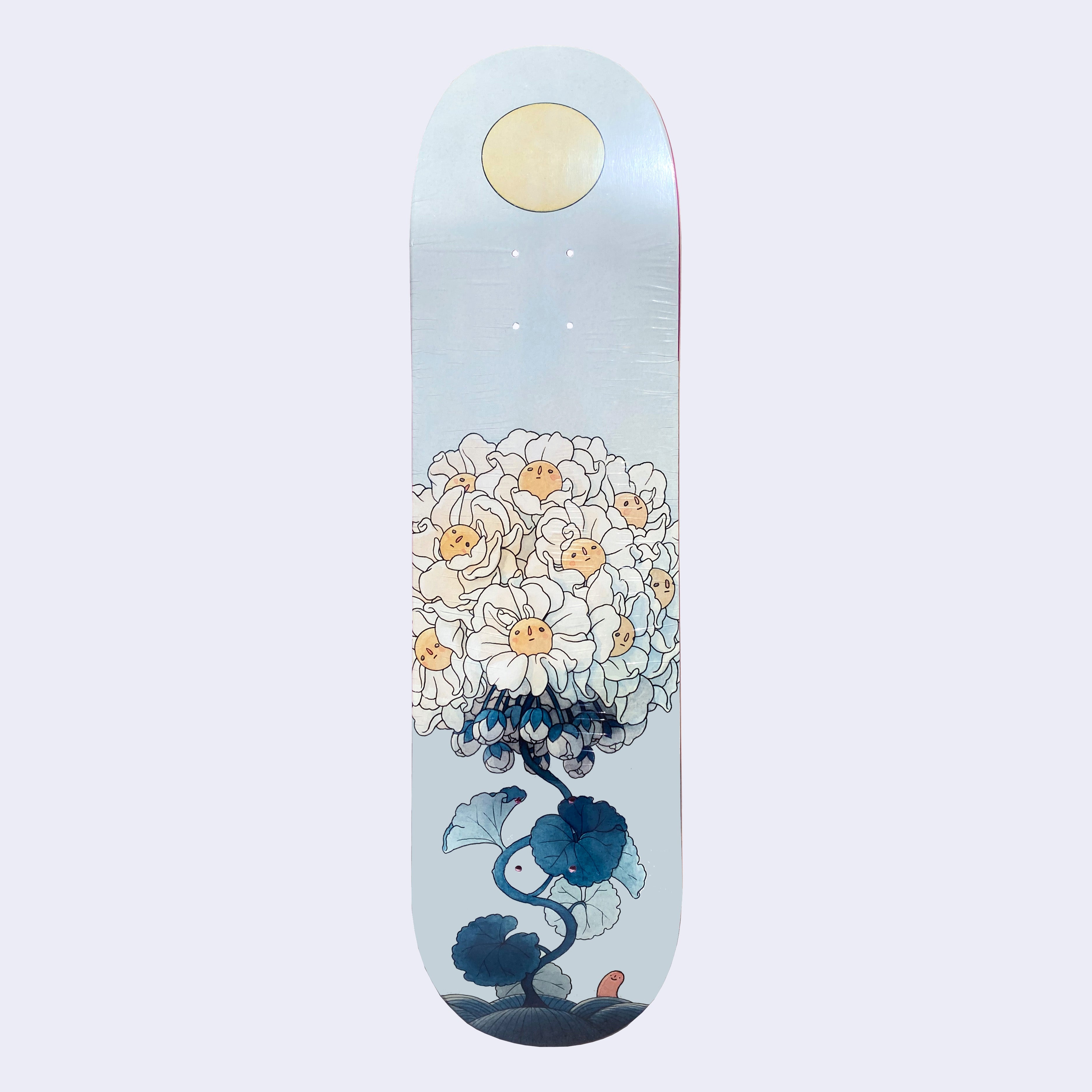Felicia Chiao x Giant Robot - Skate Deck (Assorted) – GiantRobotStore