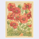 RIsograph print of a small tan character with simplistic features, lifting up many plant roots that overtake him. Large red poppies grow out of the roots.