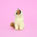 Needle felted ragdoll cat, looking off to the side.