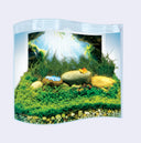 A small clear acrylic fish tank with a printed scenic backdrop showing a cave and water, filled with green aquatic plants, stones, and a small blue fish-shaped decoration, on a light gray background.
