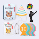Cat-themed birthday party supplies including hats, ribbons, and decorative items on a white background.