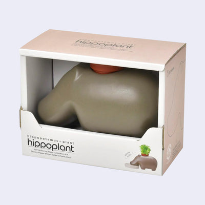 Sleek, brown ceramic hippo shaped planter without many defining characteristics, encased in its product packaging.
