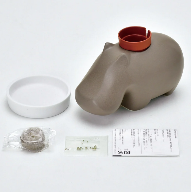 Sleek brown ceramic hippo shaped planter, with a small pot atop its back and a watering dish, peat, seed and instructions nearby.