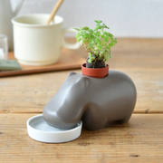 Sleek brown ceramic hippo shaped planter, with apple mint growing out its back as it drinks from a white watering dish.
