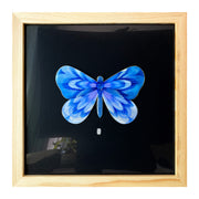 Illustration on cut out paper of a indigo butterfly with abstract striping on its wings, akin to a flower petals. Butterfly is mounted on black paper and in a light wood grain frame.