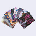 Set of colorful postcard sized artworks from James Jean, fanned out so a bit of each design can be seen.