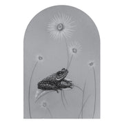 Graphite drawing within an arch shape, of a small frog resting on a leaf with wispy flowers behind. Drawing is fully greyscale.