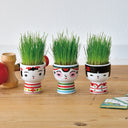 Three small pots with face designs containing green plants on a wooden surface.