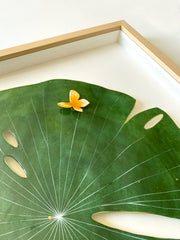 Painting on cut out paper of a round, dark green lily pad with thin white lines. A small yellow butterfly is atop the pad. Displayed at an angle to show sheen of resin coating.