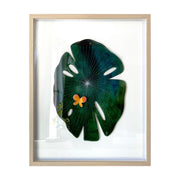 Painted cut out lily pad leaf, dark green with subtle marbling pattern and thin white stripes. A small orange butterfly rests atop the leaf. Piece is framed in thin, light grain wooden frame.