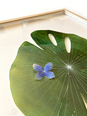Painted cut out lily pad leaf coated in resin, dark green with subtle marbling pattern and thin white stripes. A small blue and white butterfly rests atop the leaf. Displayed at an angle to show sheen of resin.