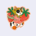 Die cut sticker of an illustrated calico cat wearing a pink plaid dress and yellow floral headscarf. Cat holds a very large strawberry in its paws and has another fastened to its back with cloth.