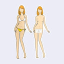 Illustration of a woman in a bikini and another holding a sign labeled 'Mechanism of Dress' on a light purple background.