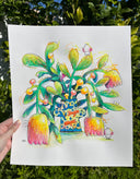Colorful drawing of a plant with a vase held against a green leafy background