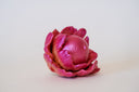 Pink flower-shaped object with a spherical center that has a calm, closed eye face.