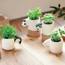 Posed photo of all 4 animal planters with their appropriate plants in full bloom out of them.